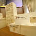 2007 Презентация DendroLight